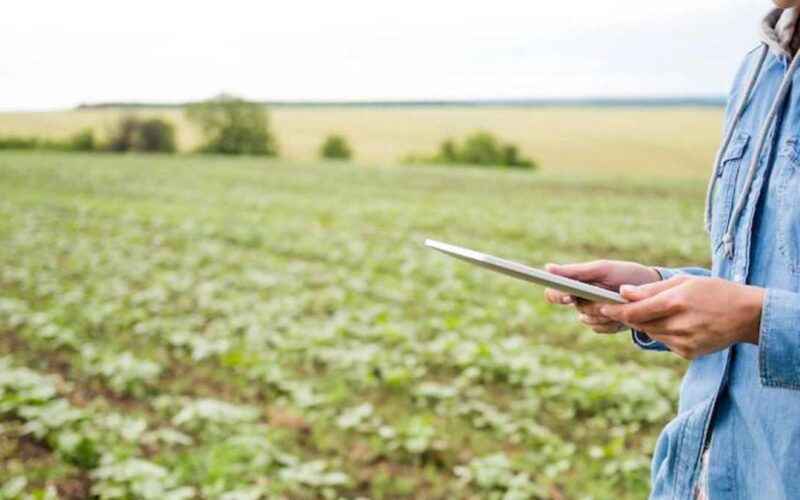 Veja a importância do Meteorologista para a Agricultura hoje